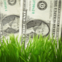 China investment, China trade, China investment information 