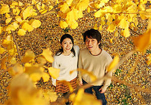 Top 10 Attractions of Romance in China