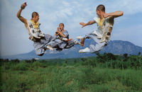 Best 10 Martial Arts Schools in China